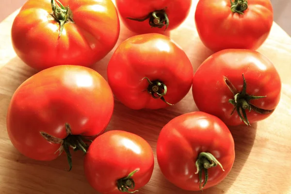 栽培されたトマトは — ストック写真