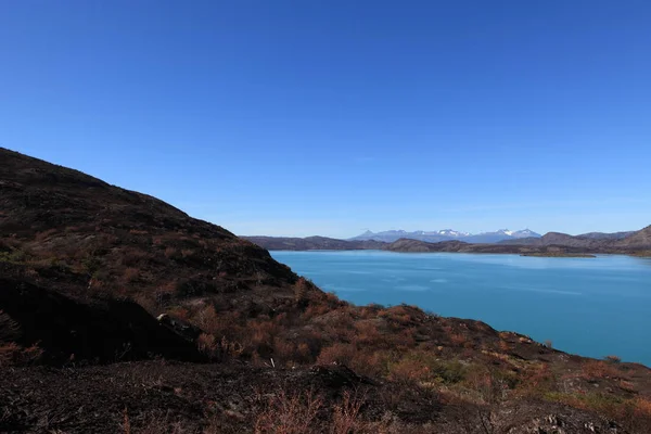 Torres Del Paine Nemzeti Park Chilében Patagónia Régió Ismert Szárnyaló — Stock Fotó