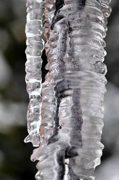 Icicles Rainwater Chain — Stock Photo, Image