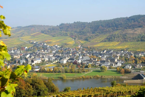 Wintrich Moselle Autumn — Stok Foto