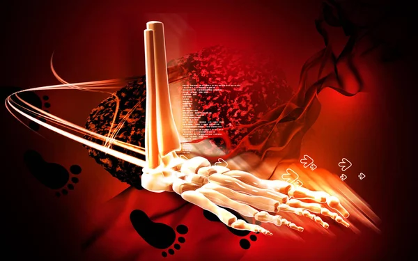 脚の骨の色の背景のデジタルイラスト — ストック写真