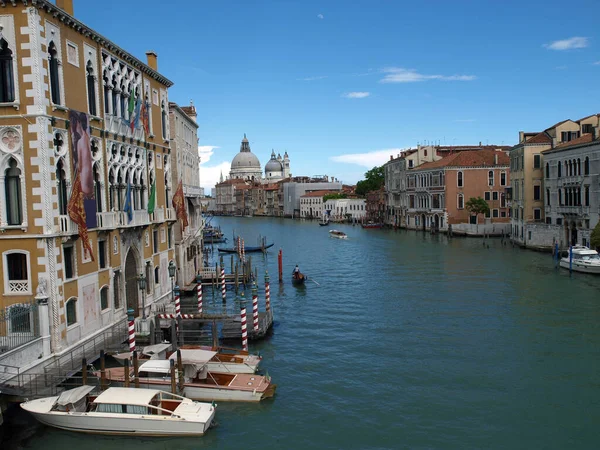 Venedig Utsikt Över Canal Grande Och Salut — Stockfoto