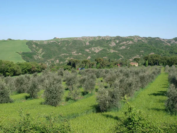 Toskanische Landschaft Mittelitalien — Stockfoto