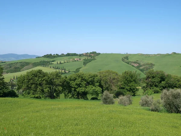 이탈리아 중부에 풍경의 — 스톡 사진