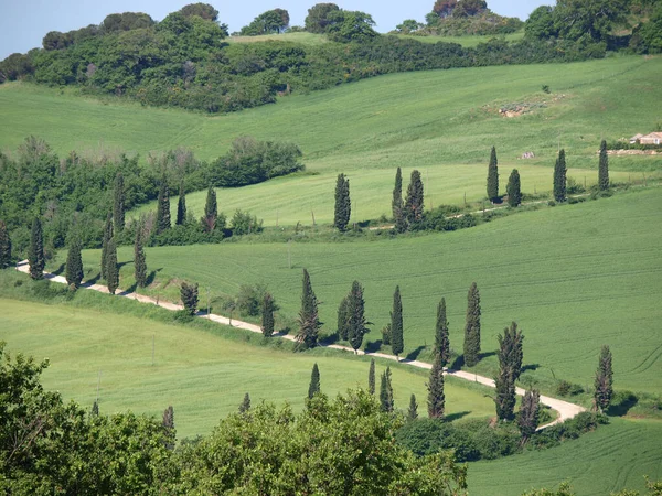 Veduta Del Lago Carsico Doberd Italia — Foto Stock