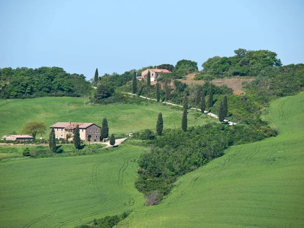 Landskap Tuscan Centrala Italien — Stockfoto