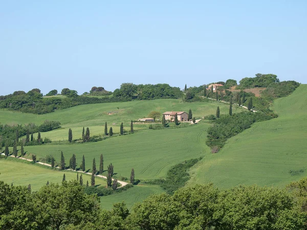 Toskanische Landschaft Mittelitalien — Stockfoto