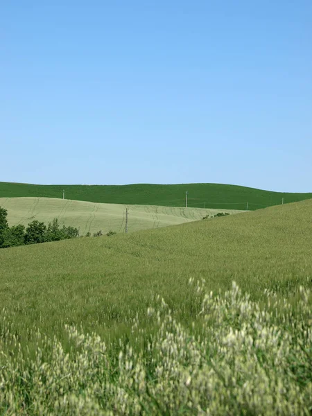 Paisagem Toscana Centro Itália — Fotografia de Stock