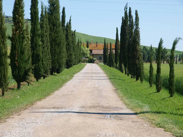 Landskap Tuscan Centrala Italien — Stockfoto