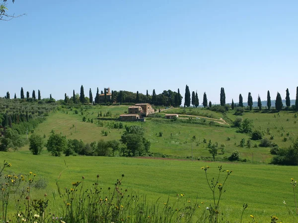 Toskanische Landschaft Mittelitalien — Stockfoto