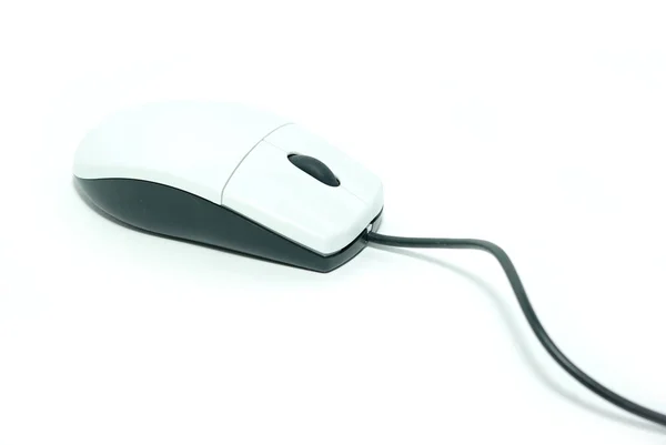 Rato Computador Isolado Sobre Fundo Branco — Fotografia de Stock