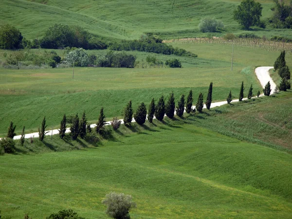 Landskap Tuscan Centrala Italien — Stockfoto