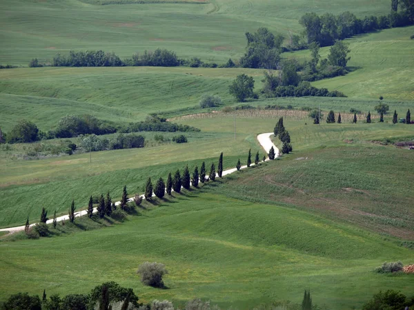 Paesaggio Toscano Nel Centro Italia — Foto Stock