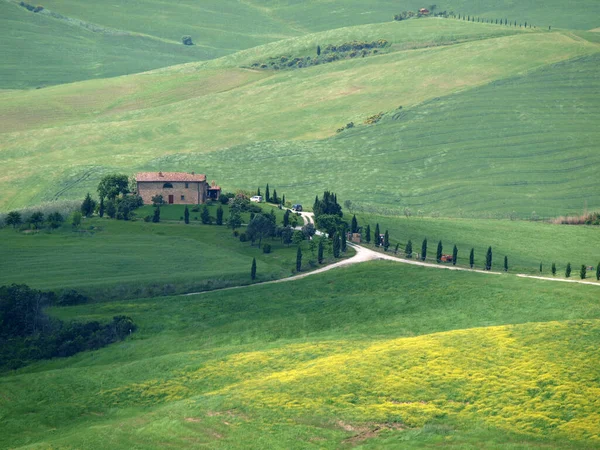 Peisaj Tuscan Centrul Italiei — Fotografie, imagine de stoc