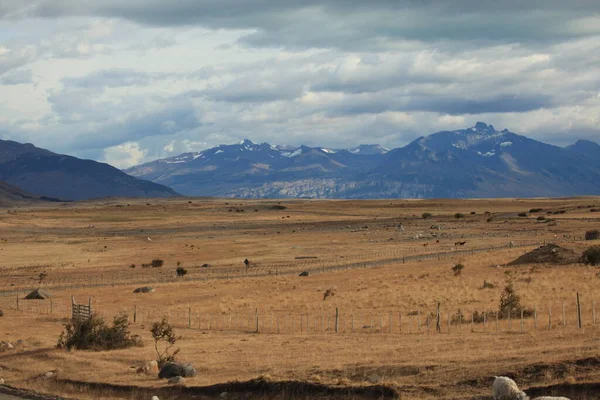 Perito Moreno Nun Manzaraları — Stok fotoğraf