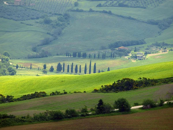 Landschap Toscaanse Midden Italië — Stockfoto