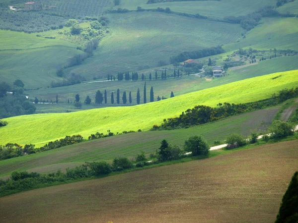 Landskap Tuscan Centrala Italien — Stockfoto
