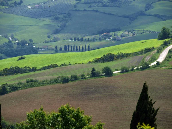 Landschap Toscaanse Midden Italië — Stockfoto