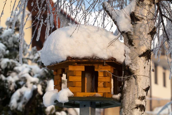 Impressione Invernale Nel Gelido Pomeriggio — Foto Stock