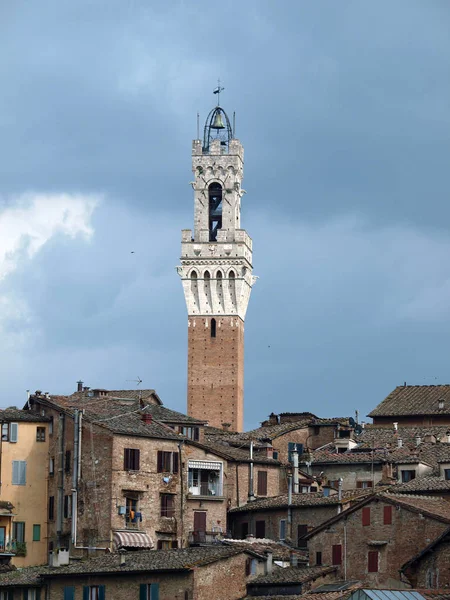 Siena Panorama Parte Antiga Cidade Com Uma Torre Esbelta Torre — Fotografia de Stock