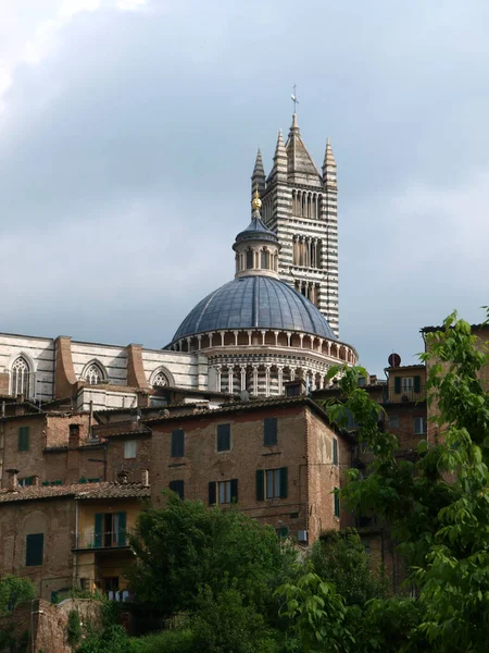 Siena Duomo Torent Uit Boven Het Historische Centrum — Stockfoto