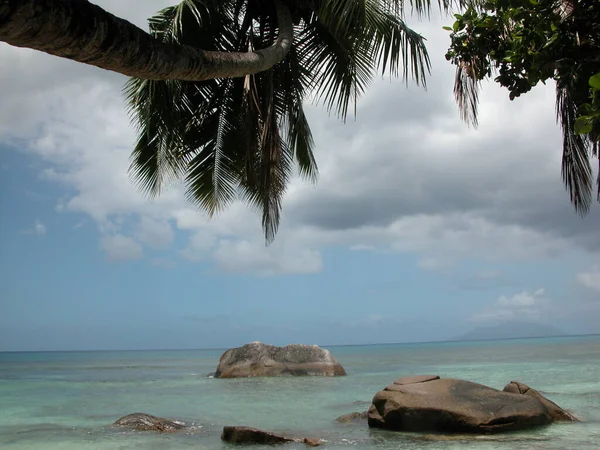 Одинокий Пляж Сейшелах — стоковое фото