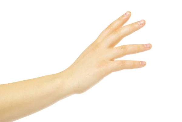 Hand Isolated White — Stock Photo, Image