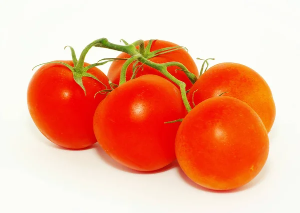 Pomodori Freschi Isolati Fondo Bianco — Foto Stock