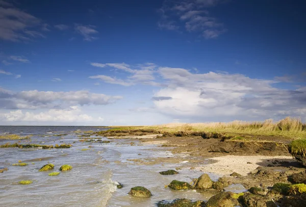 Kilátással Északi Tengeri Strand Hilgenriedersiel Közelében Város Északi Alsó Szászország — Stock Fotó