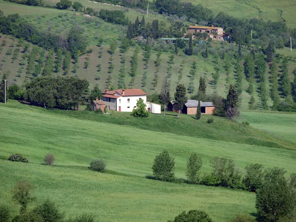 Bellissimo Paesaggio Della Toscana Vista Sulle Colline Tra Montepulciano Pienza — Foto Stock