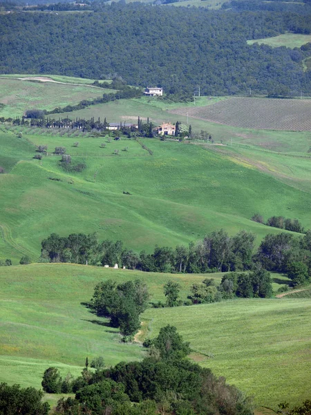 Hermoso Paisaje Toscana Vista Las Colinas Entre Montepulciano Pienza — Foto de Stock