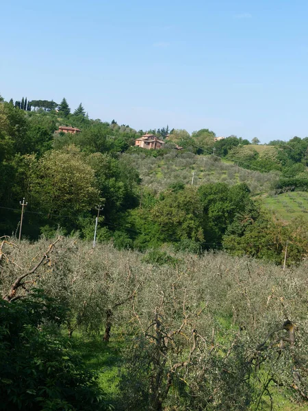 Die Wunderschöne Landschaft Der Toskana Blick Auf Die Hügel Zwischen — Stockfoto