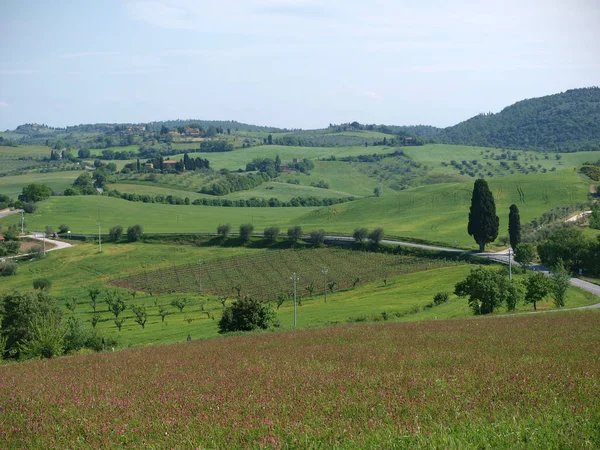 Det Vackra Landskapet Toscana Utsikt Över Bergen Mellan Montepulciano Och — Stockfoto