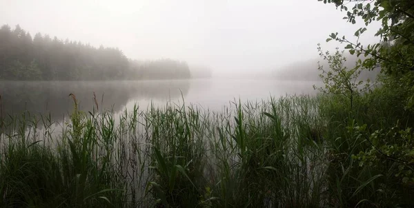 Linhuanian Natuur Zomer — Stockfoto