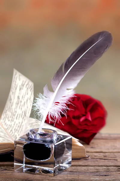 Feather Ink Pen Wooden Table — Stock Photo, Image