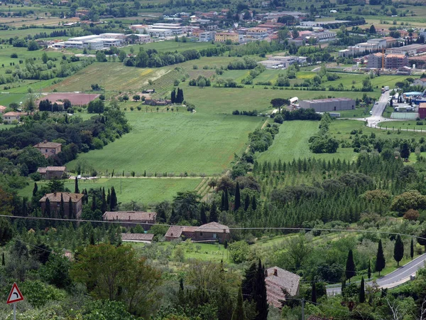 Vista Los Olivares Llanuras Alrededor Cortona Toscana — Foto de Stock