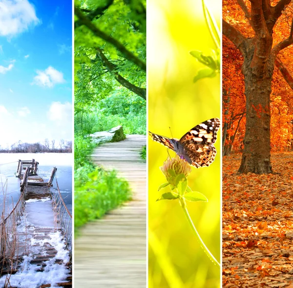 collage of nature and landscape