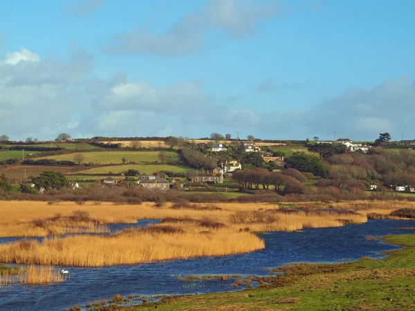 Güneybatı Cornish Kıyısındaki Marazion Köyünün Hemen Dışındaki Sazlıklar Bataklıklar — Stok fotoğraf