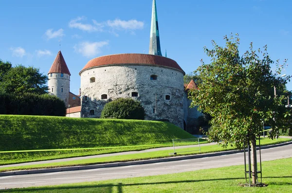 Tallinn Torre Margarida Gorda — Fotografia de Stock