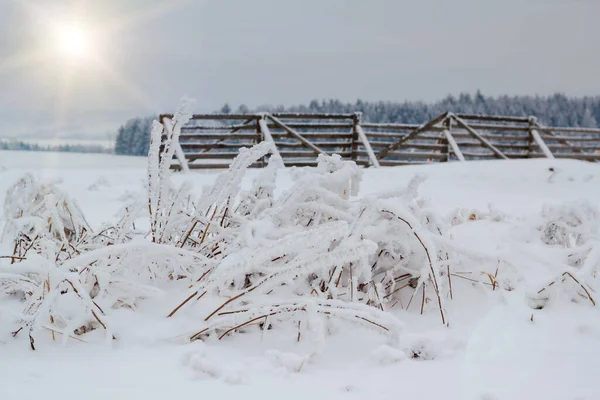 Красивый Зимний Пейзаж Солнцем Снежным Барьером — стоковое фото