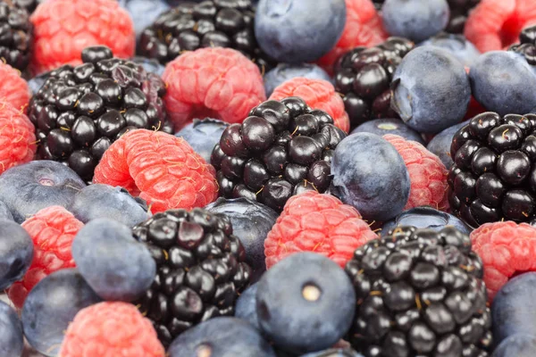 Berries Mix Black Berry Raspberry Cranberry — Stock Photo, Image