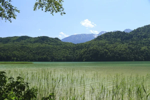 静かで 住宅Weissenseeセンターそのビーチ 湖を参照してください — ストック写真