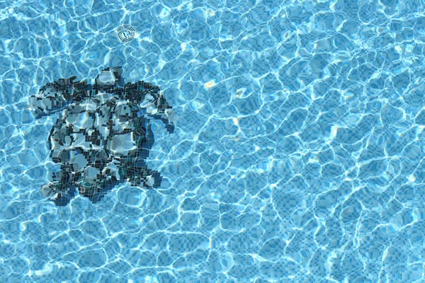 Riflessione Blue Water Sea Turtle Mosaico Piscina Con Ondulazione — Foto Stock