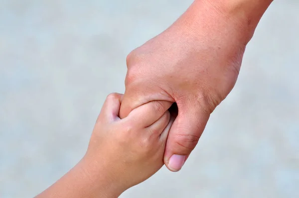 Adult Child Hands Holding — Stock Photo, Image