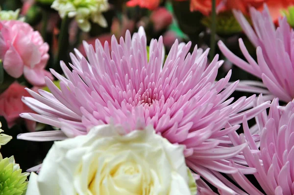 Schöner Blumenstrauß — Stockfoto