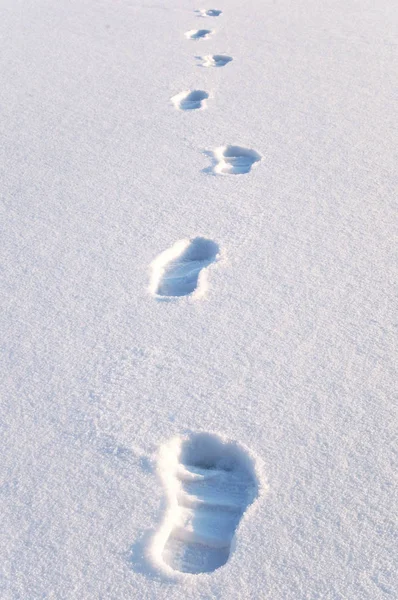 Pegadas Neve — Fotografia de Stock