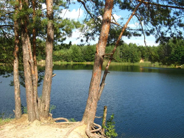 Het Mooie Zomerse Landschap Met Schilderachtige Lake — Stockfoto