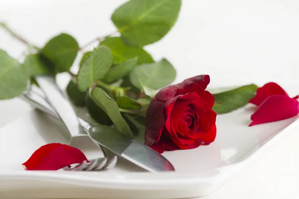 Πιατικά Και Μαχαιροπήρουνα Κόκκινο Τριαντάφυλλο Λευκό Φόντο — Φωτογραφία Αρχείου