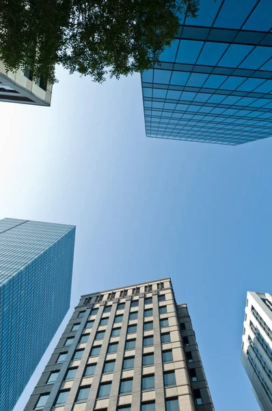 Sky Scraper Green Tree Blue Sky — Stock Photo, Image