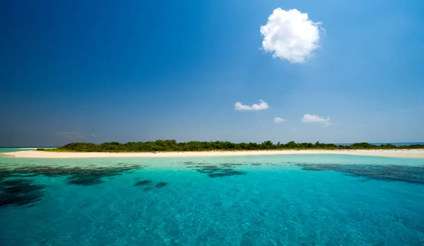 Malerischer Blick Auf Die Insel Selektiver Fokus — Stockfoto